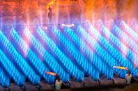 Trethellan Water gas fired boilers